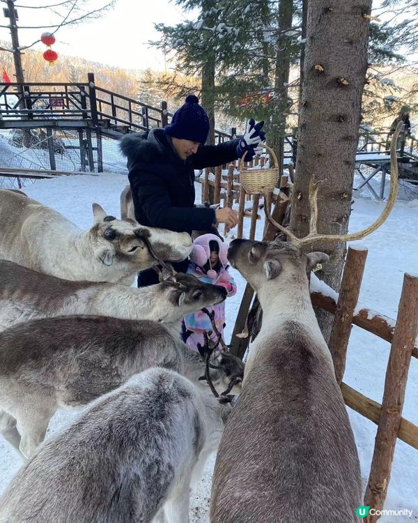 12月份的哈爾濱值得的一去，小朋友原來唔怕凍，零下10度玩雪...