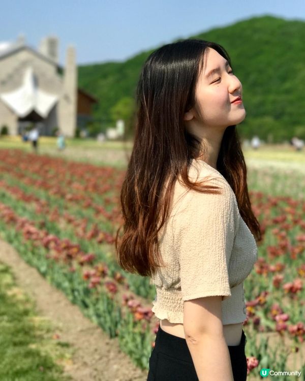 康肯霍夫公園是世界上最大的花卉展覽園區，位於荷蘭的利斯特德（...