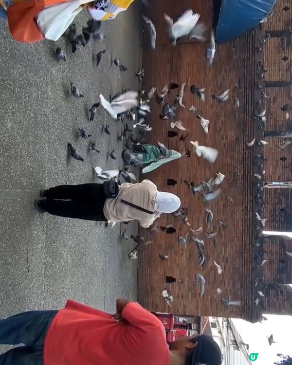 清邁太多又平又靚?好?食，風景又靚又舒服，係一個低消費高享受...