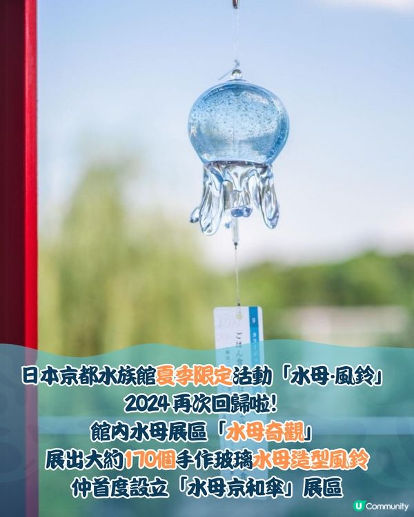日本京都水母風鈴活動回歸！🪼