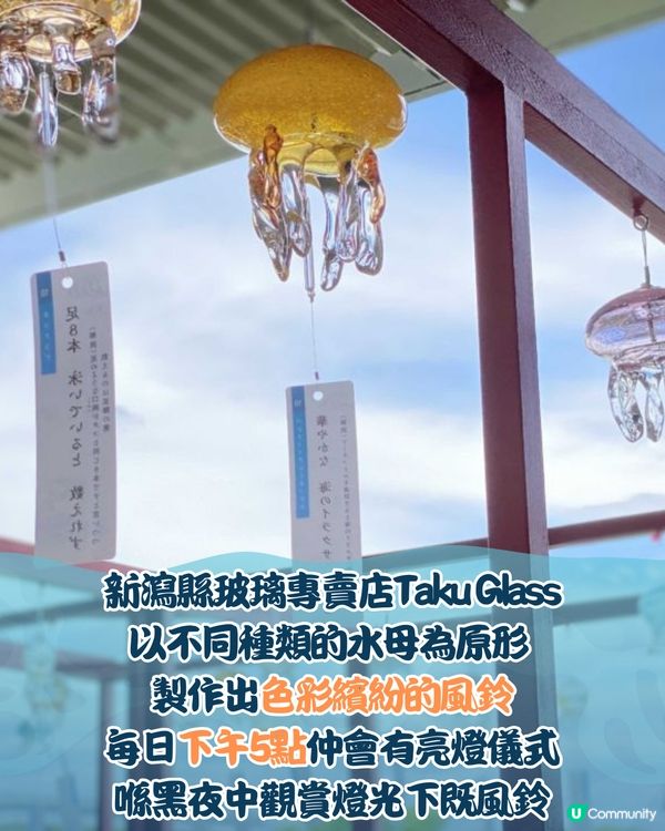 日本京都水母風鈴活動回歸！🪼