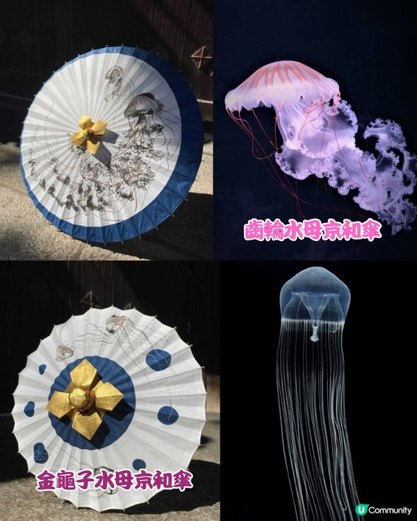 日本京都水母風鈴活動回歸！🪼