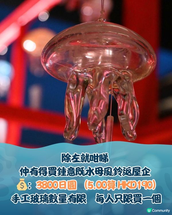 日本京都水母風鈴活動回歸！🪼