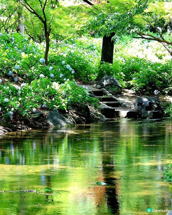 長居公園植物園💙