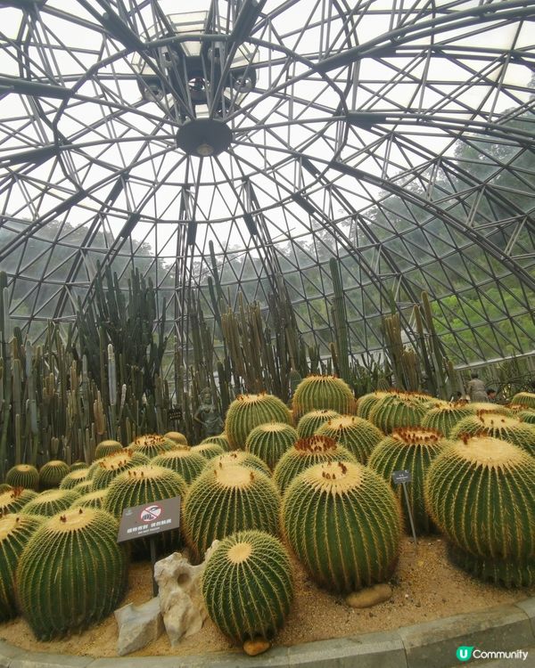 深圳仙湖植物園