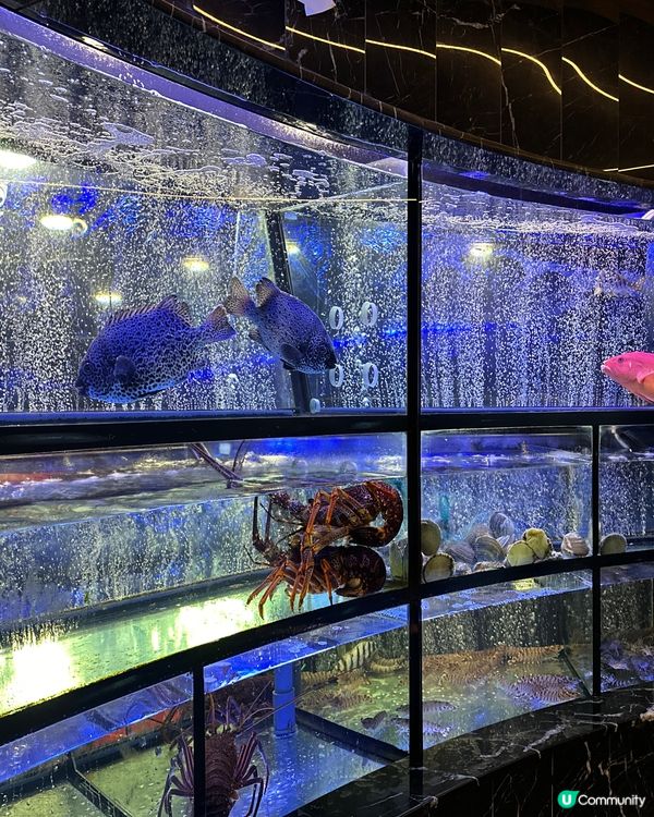 高質素海鮮火鍋