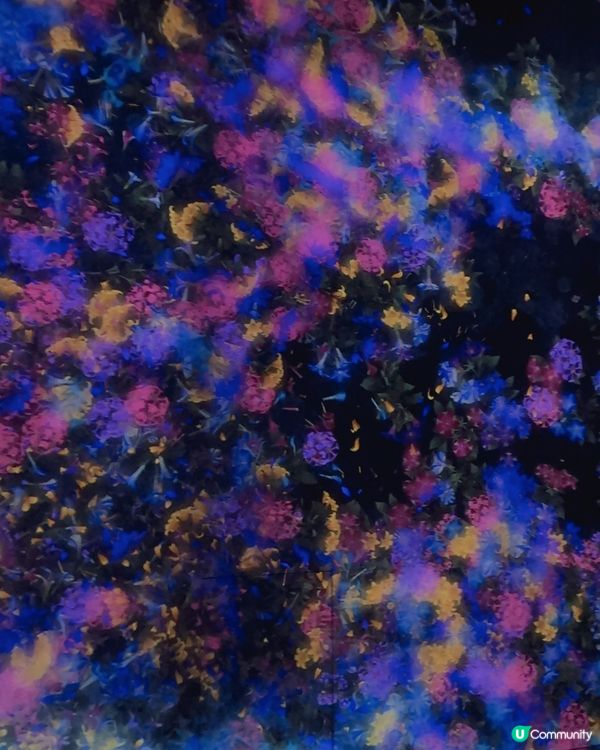 好精采又好玩Teamlab Borderless