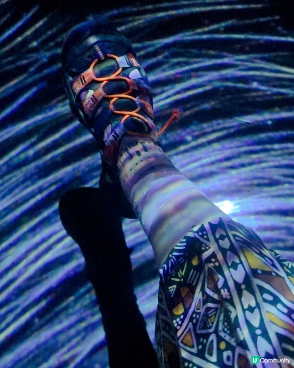 好精采又好玩Teamlab Borderless