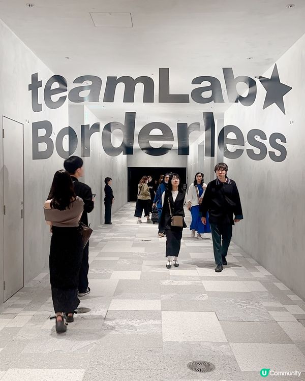 好精采又好玩Teamlab Borderless
