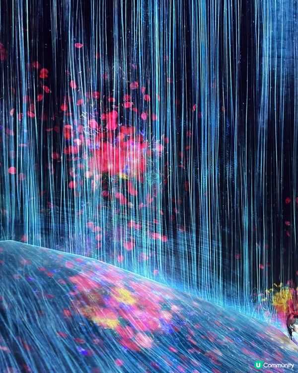 好精采又好玩Teamlab Borderless