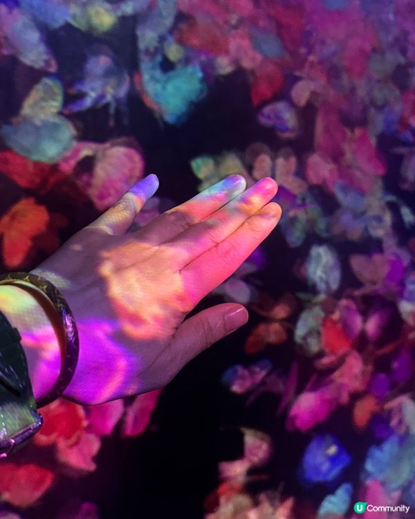 好精采又好玩Teamlab Borderless