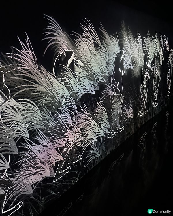 好精采又好玩Teamlab Borderless