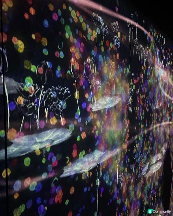 好精采又好玩Teamlab Borderless