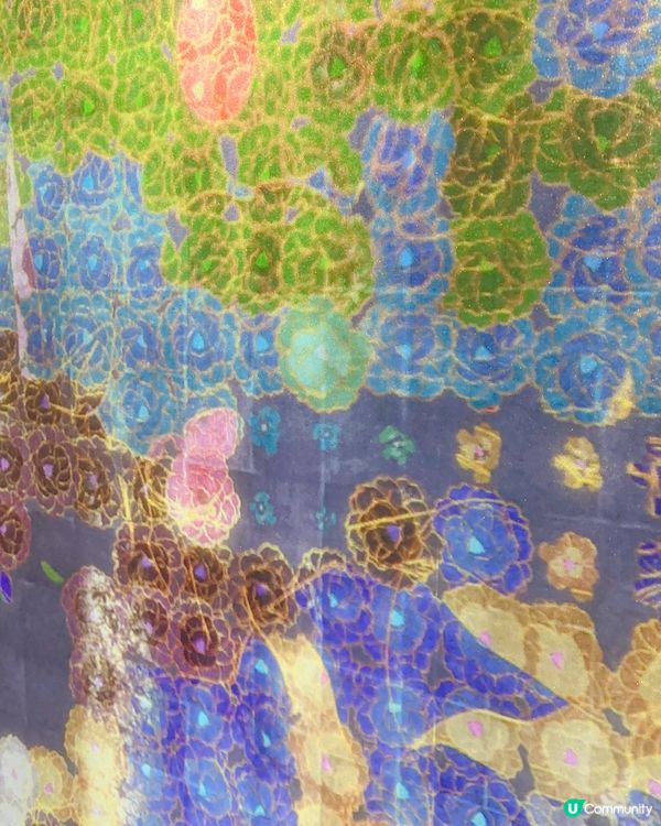 好精采又好玩Teamlab Borderless