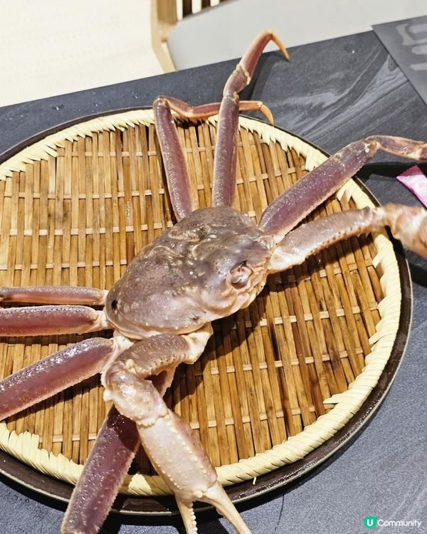 📍深圳必吃。品味鮮活松葉蟹料理🦀