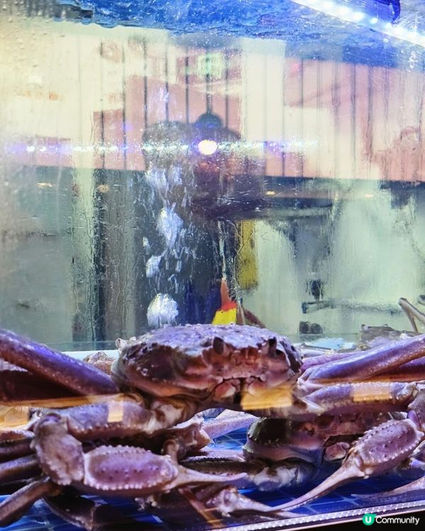 📍深圳必吃。品味鮮活松葉蟹料理🦀