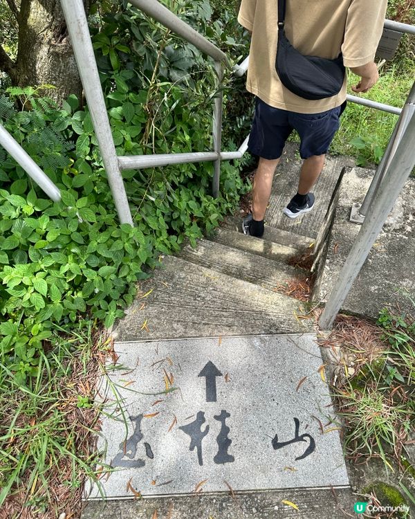 玉桂山鴨脷排行山攻略 (不適合初階者）