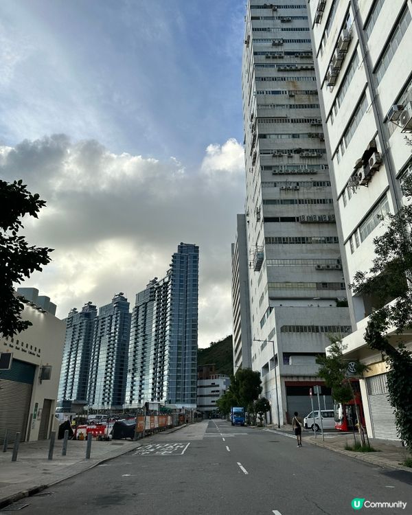 玉桂山鴨脷排行山攻略 (不適合初階者）