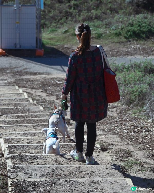 [西澳景點] 尋找巨人的足跡🗿