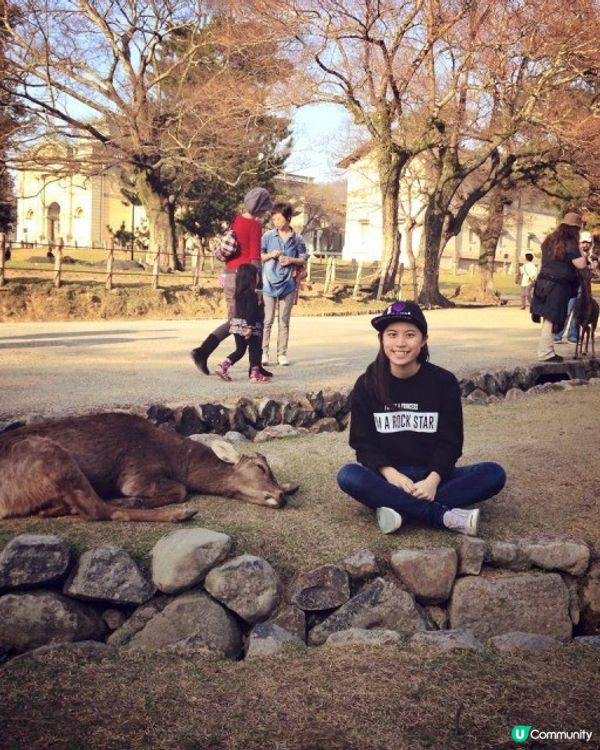 【櫻花2DAY遊】奈良、平野神社、京都御苑 (附短片)