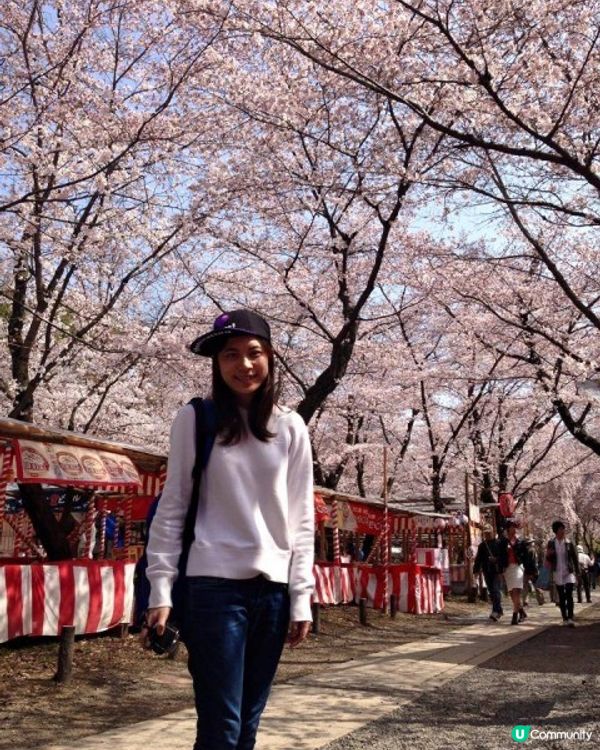 【櫻花2DAY遊】奈良、平野神社、京都御苑 (附短片)