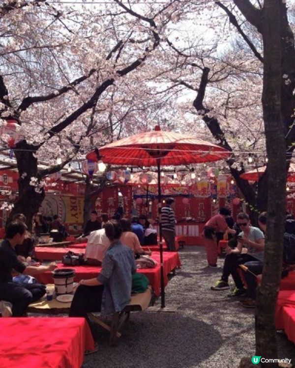 【櫻花2DAY遊】奈良、平野神社、京都御苑 (附短片)