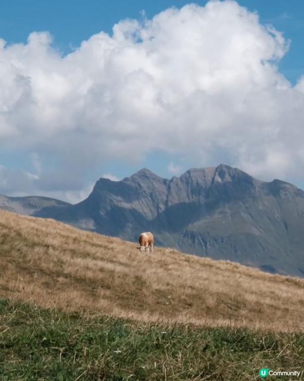【去瑞士行山】3條合家歡路線＋1條鐵索棧道（附交通貼士）