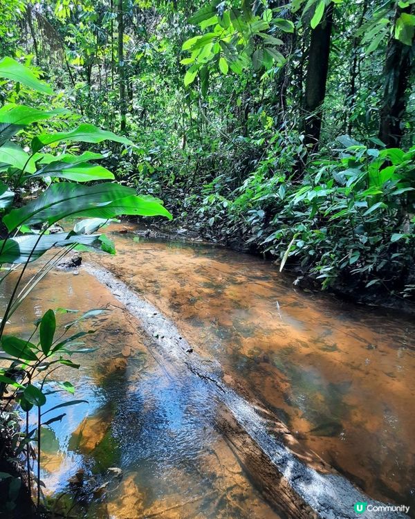 流浪中南美：哥倫比亞與秘魯亞馬遜體驗