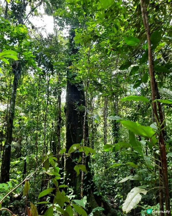 流浪中南美：哥倫比亞與秘魯亞馬遜體驗