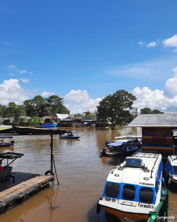 流浪中南美：哥倫比亞與秘魯亞馬遜體驗