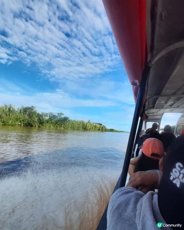 流浪中南美：哥倫比亞與秘魯亞馬遜體驗