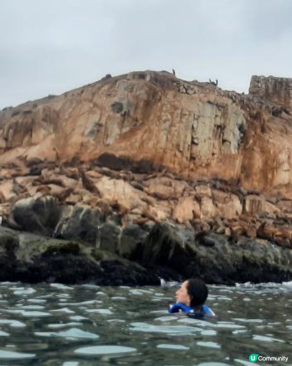 流浪中南美--重遊秘魯