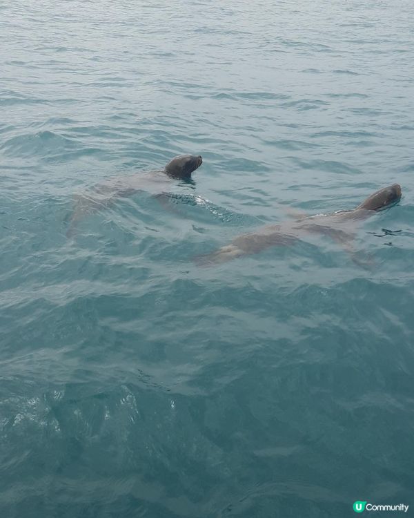 流浪中南美--重遊秘魯