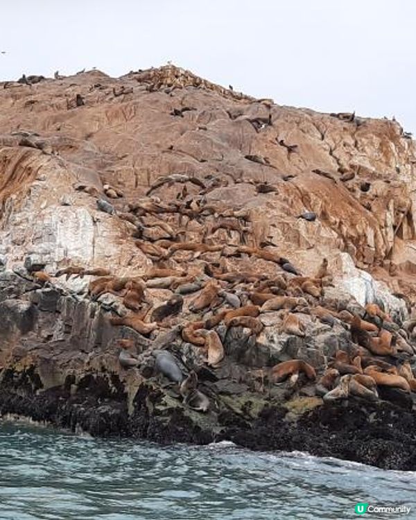 流浪中南美--重遊秘魯