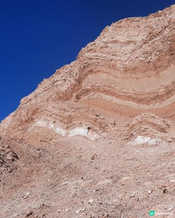 流浪中南美--智利美景以外歐美級消費