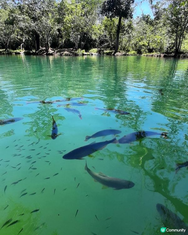 流浪中南美--我到訪過的巴西風景Part 1