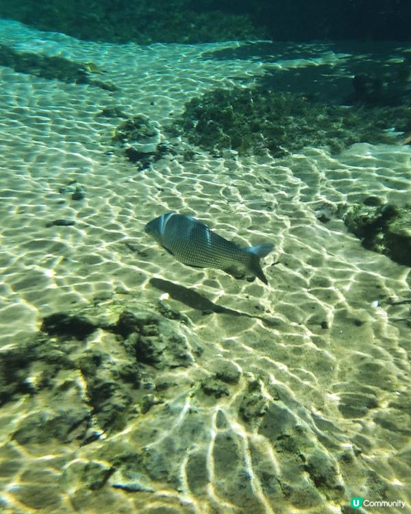 流浪中南美--我到訪過的巴西風景Part 1