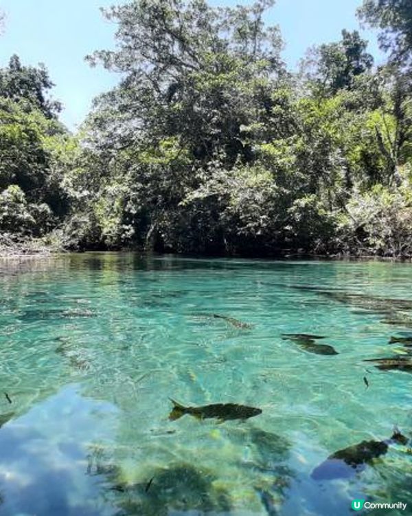 流浪中南美--我到訪過的巴西風景Part 1