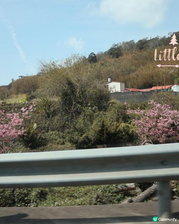 小妹子第十五次自遊行：台灣西部探索之旅~苗栗台中包車篇~(2023/03/14-18）