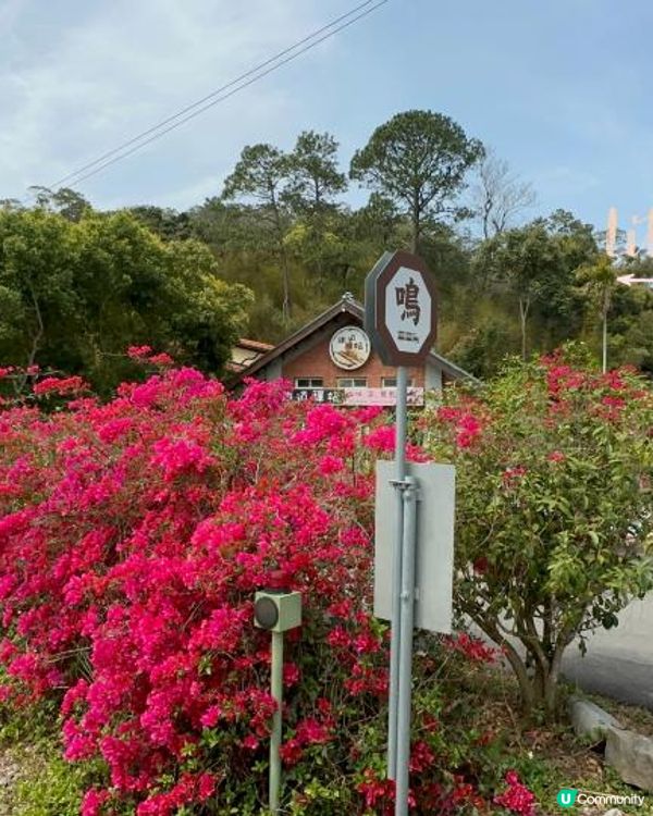 小妹子第十五次自遊行：台灣西部探索之旅~苗栗台中包車篇~(2023/03/14-18）