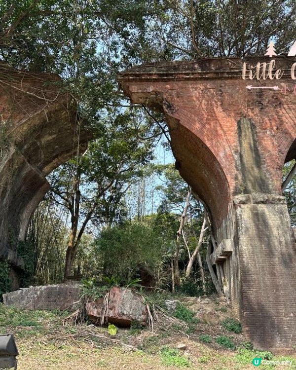 小妹子第十五次自遊行：台灣西部探索之旅~苗栗台中包車篇~(2023/03/14-18）