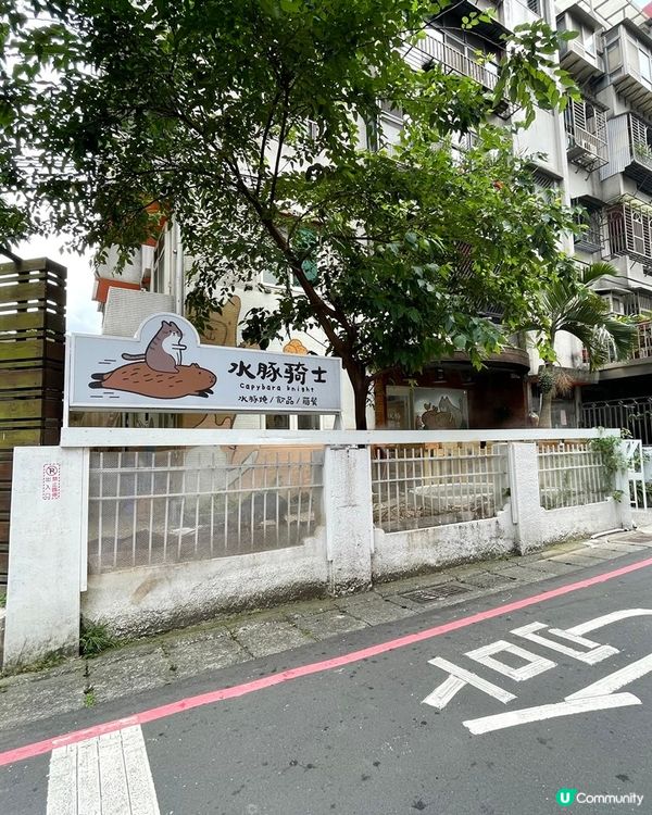 [台北素食] 土城 | 水豚騎士：捷運可達！新北市水豚咖啡店 近距離餵食互動