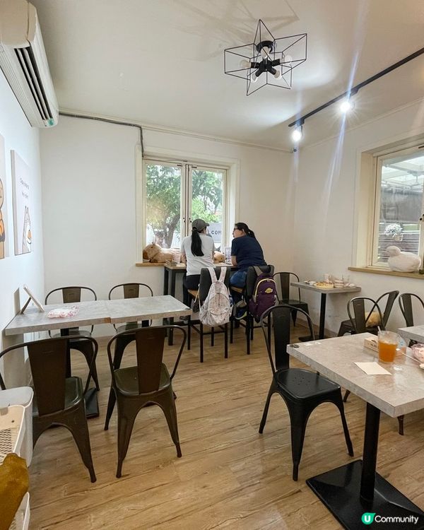 [台北素食] 土城 | 水豚騎士：捷運可達！新北市水豚咖啡店 近距離餵食互動