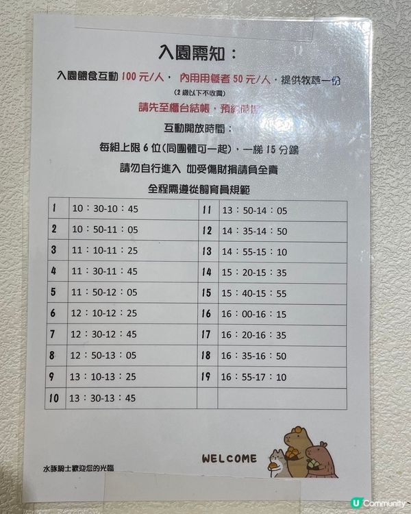 [台北素食] 土城 | 水豚騎士：捷運可達！新北市水豚咖啡店 近距離餵食互動