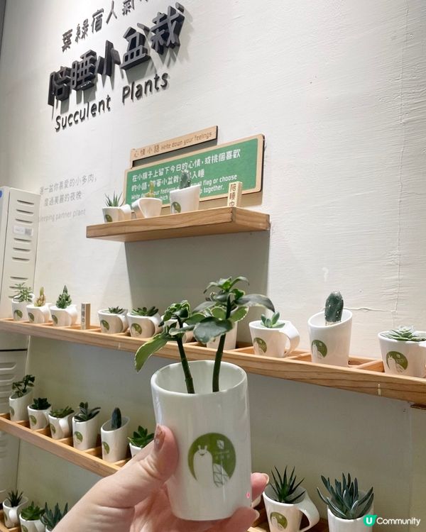 [台中住宿推薦] 西屯區 | 台中逢甲葉綠宿旅館：13米高植生牆 環遊世界主題酒店 (附素食者逢甲夜市覓食手冊)