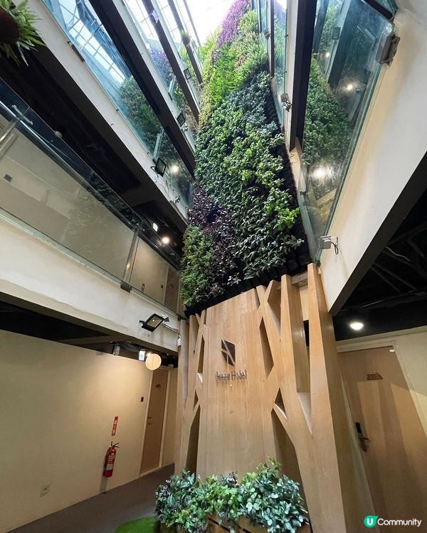 [台中住宿推薦] 西屯區 | 台中逢甲葉綠宿旅館：13米高植生牆 環遊世界主題酒店 (附素食者逢甲夜市覓食手冊)