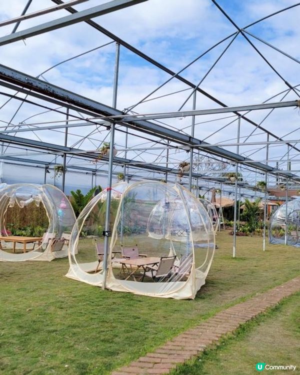 MY BOY👶🏻20個月快樂🔅圍爐煮茶