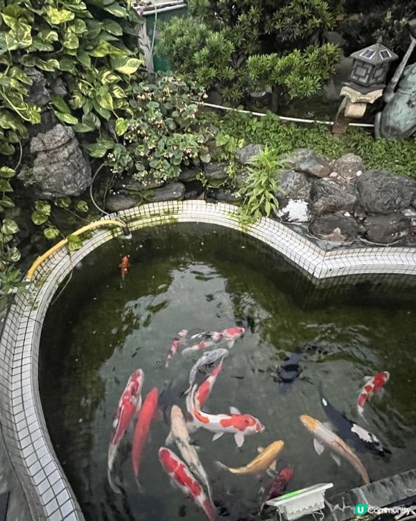 《大埔隱世西餐廳🌹假日休閒庭園風🏝️》