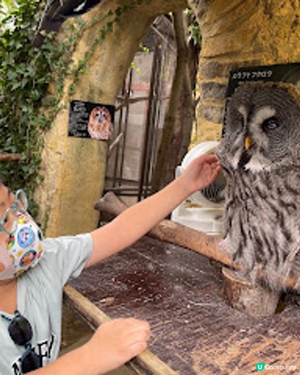 日本九州大分親子一日團｜太宰府天滿宮 ｜湯布院小鎮｜別府空中纜車｜灶地獄｜最新2023年｜8日7夜日本福岡親子自由行（非自駕）