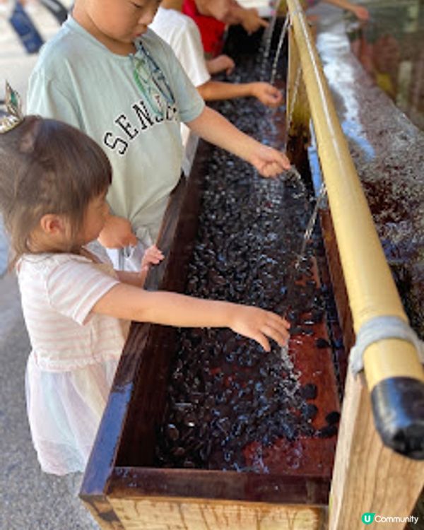 日本九州大分親子一日團｜太宰府天滿宮 ｜湯布院小鎮｜別府空中纜車｜灶地獄｜最新2023年｜8日7夜日本福岡親子自由行（非自駕）